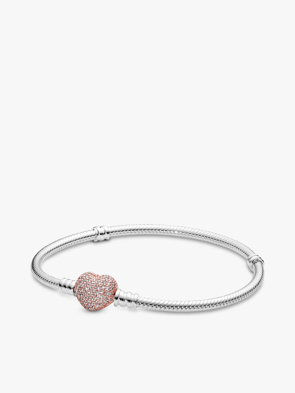 Snake Clasp & Chain Bracelet