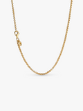 Rolo Chain Necklace