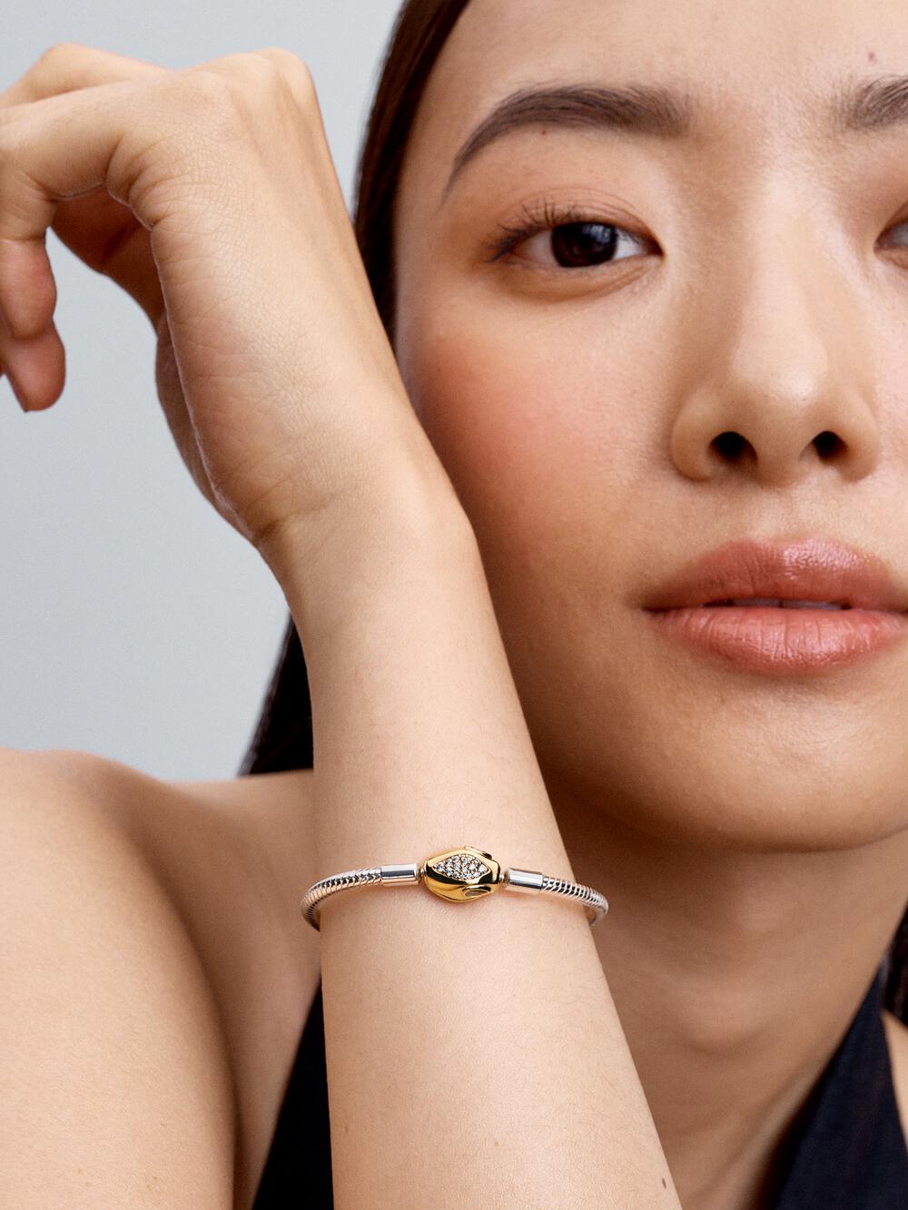 Snake Clasp & Chain Bracelet