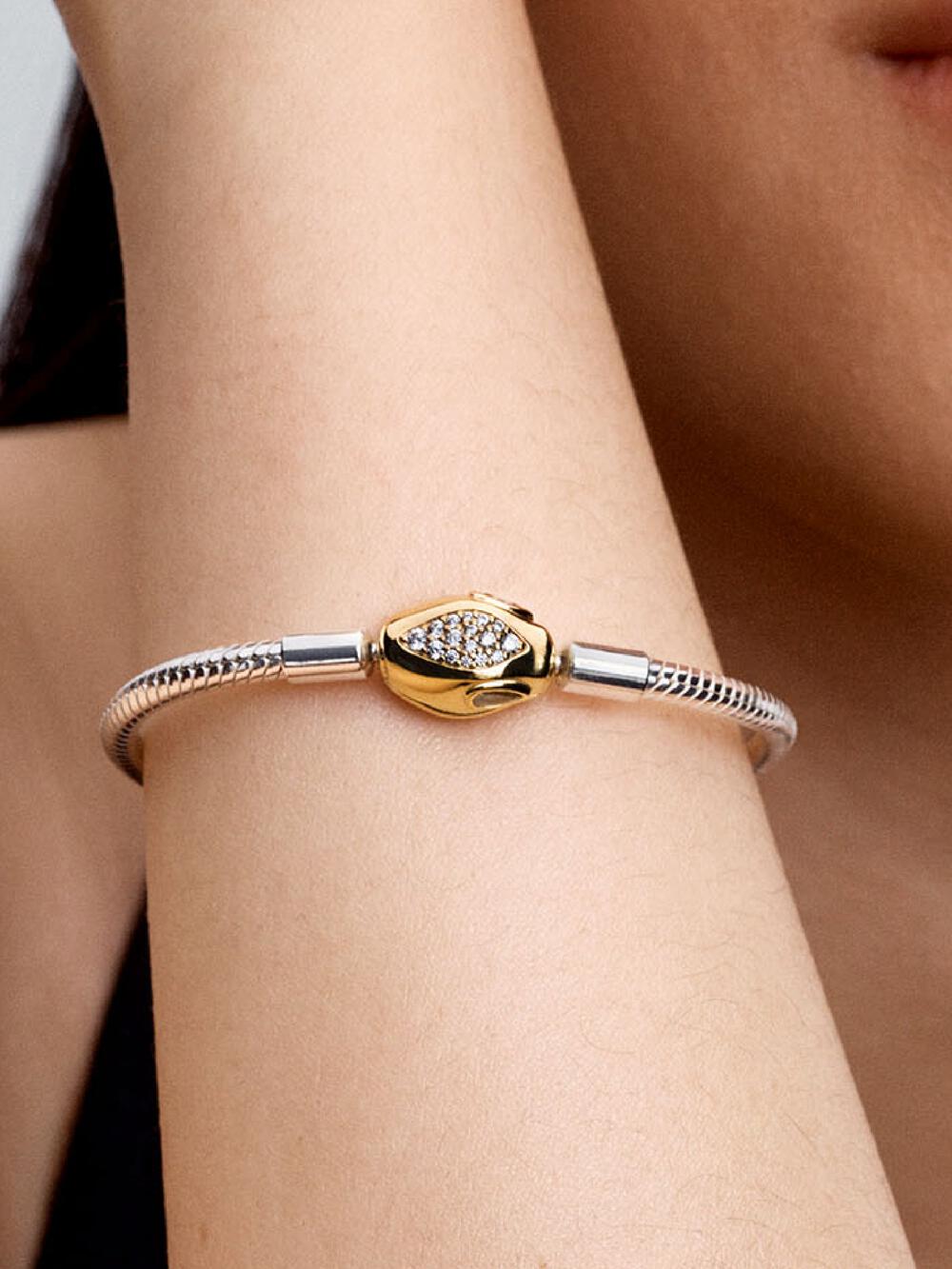 Snake Clasp & Chain Bracelet