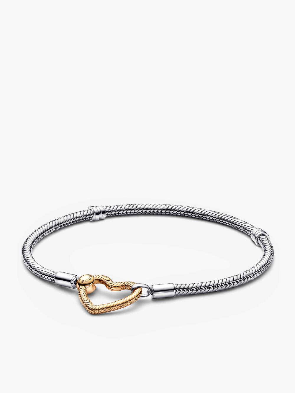 Snake Clasp & Chain Bracelet