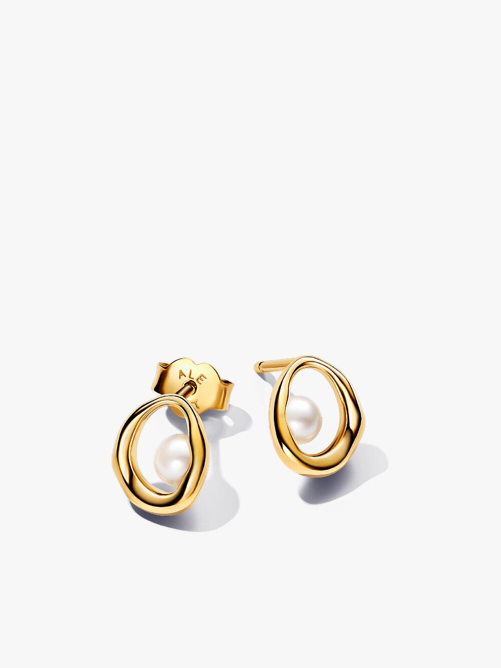 Organically V-shaped Open Hoop Earrings