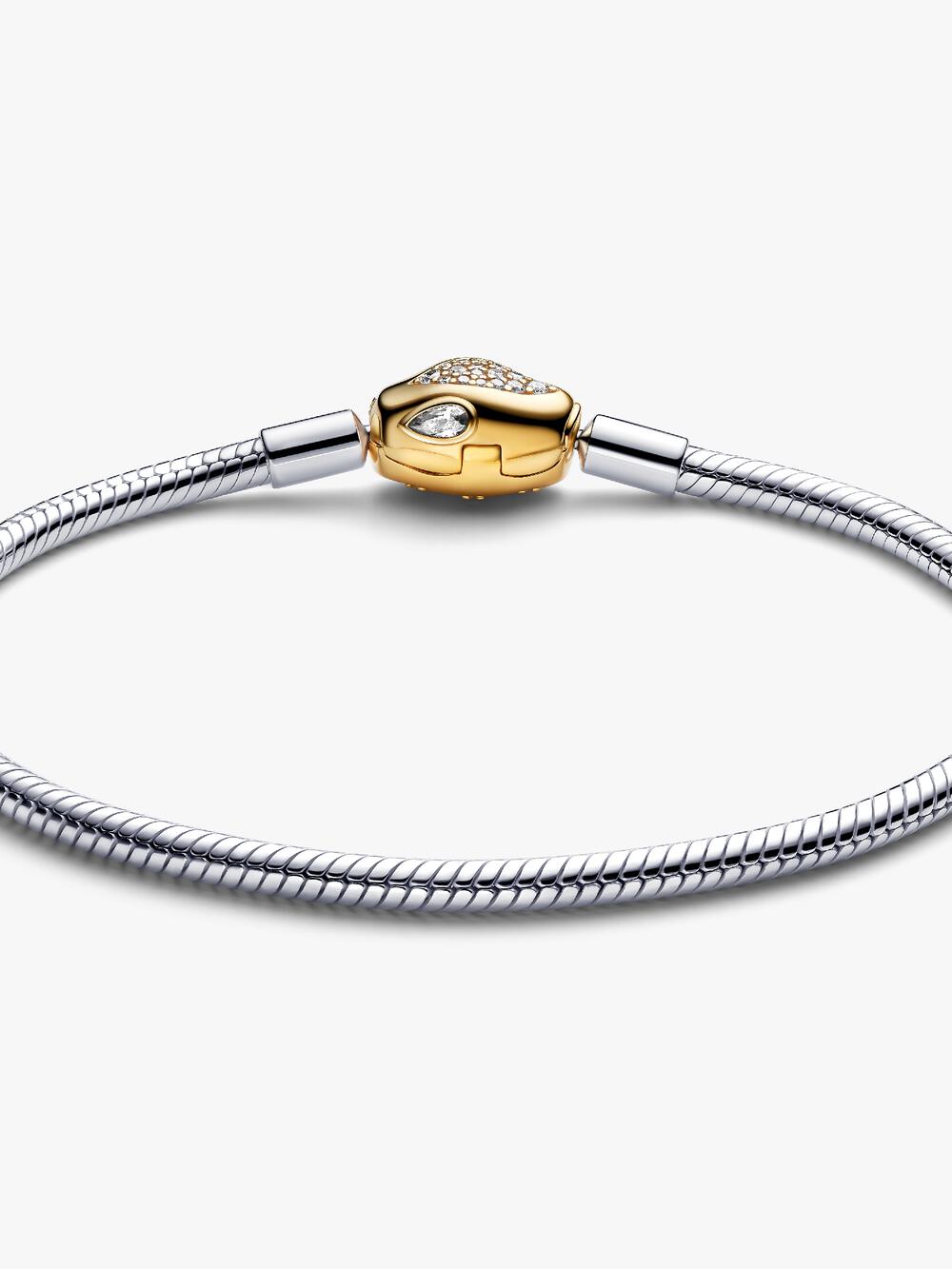 Snake Clasp & Chain Bracelet